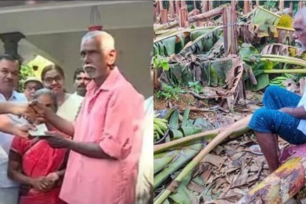 കെഎസ്ഇബി ഉദ്യോഗസ്ഥർ വാഴകൾ വെട്ടിനശിപ്പിച്ച സംഭവത്തിൽ കർഷകന് മൂന്നര ലക്ഷം രൂപ നഷ്ടപരിഹാരം കൈമാറി