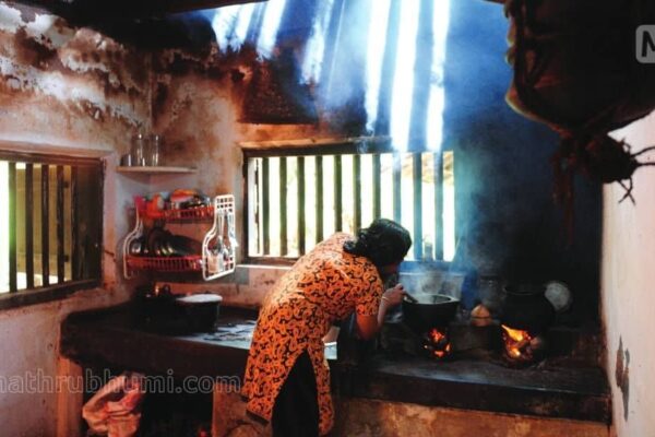 ഹൃദ്രോഗം മുതൽ അർബുദം വരെ വിളമ്പുന്ന അടുക്കള; ജീവൻ രക്ഷയ്ക്കായ് വിറകടുപ്പിന് ബദൽ സംവിധാനം കണ്ടെത്തണമെന്ന് ഡബ്ള്യു.എച്ച്.ഒ.