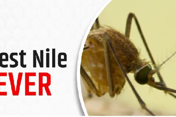 കോഴിക്കോട്, മലപ്പുറം ജില്ലകളിൽ വെസ്റ്റ്നൈൽ ഫീവർ; ഒരാളുടെ നില ഗുരുതരം