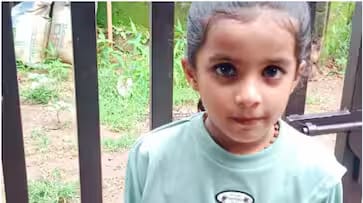 പാലക്കാട് സ്കൂൾ വാഹനം ഇടിച്ച് യുകെജി വിദ്യാർത്ഥിനി മരിച്ചു