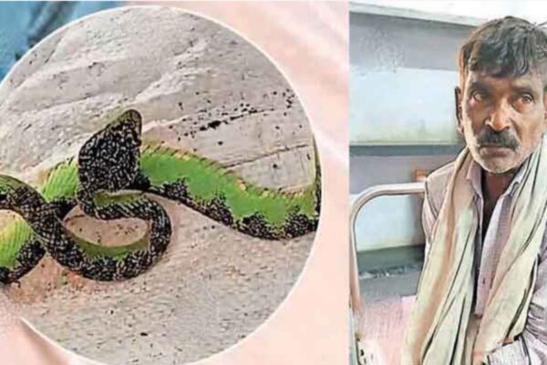 കടിച്ച പാമ്പിനെയും പിടികൂടി ചാക്കിലാക്കി ആശുപത്രിയിൽ എത്തി ചികിത്സ തേടി