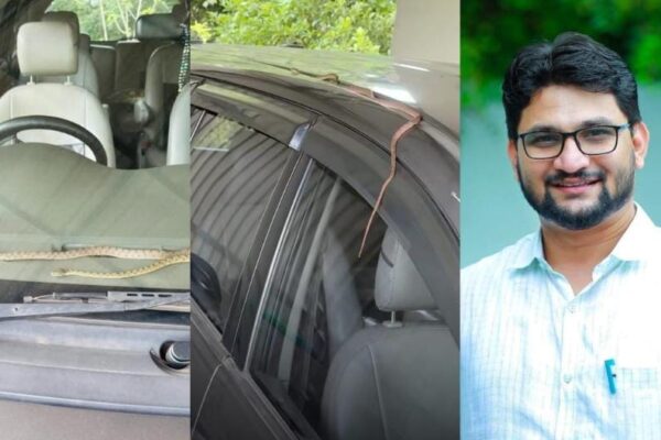 പട്ടാമ്പി എം എൽ എയുടെ കാറിനുള്ളിൽ പാമ്പ്